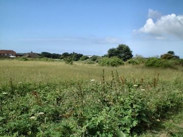 Malthouse Meadow, Sompting