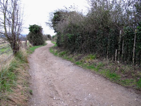 Bridle Path Lancing Ring Oct 2010