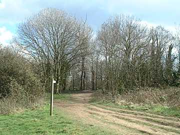 bridlepath