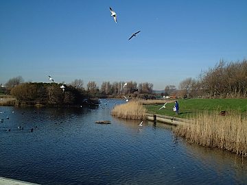 Brooklands Lake