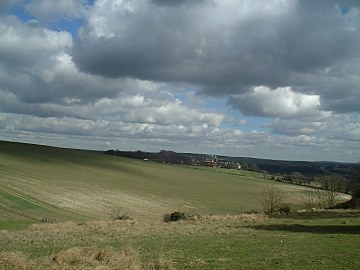 Arable Land