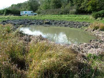 dewpond