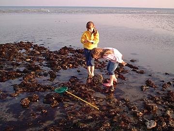 rock pools