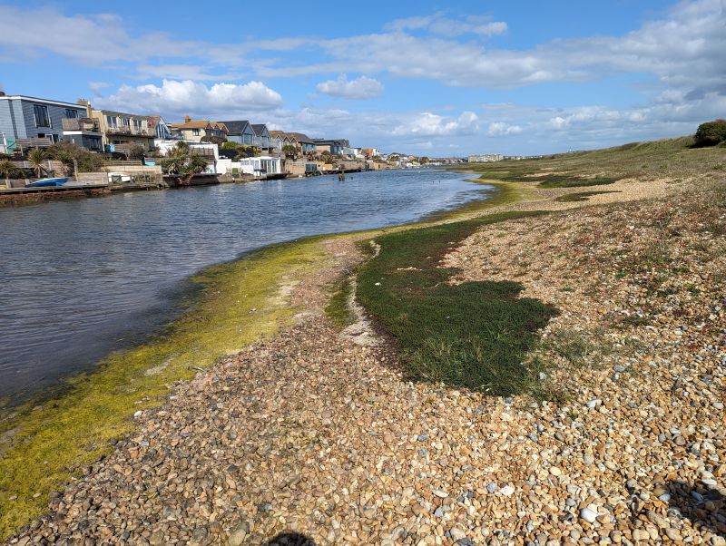 Drift of Sea
              Heath